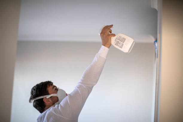 Best Residential Mold Removal  in Socastee, SC