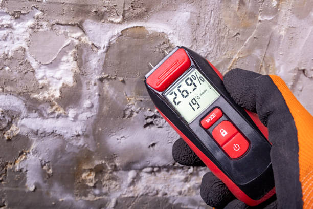 Best Water Damage Restoration  in Socastee, SC