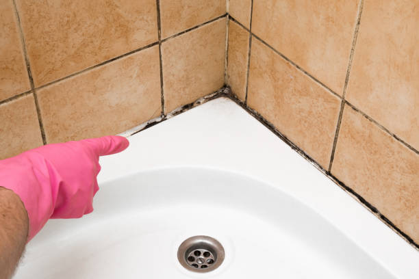 Crawl Space Mold Removal in Socastee, SC
